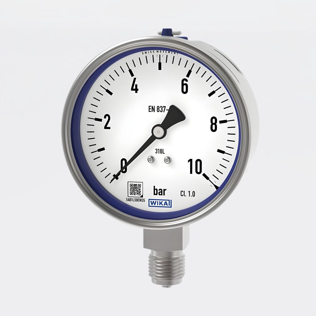 manometro di processo wika fluid system